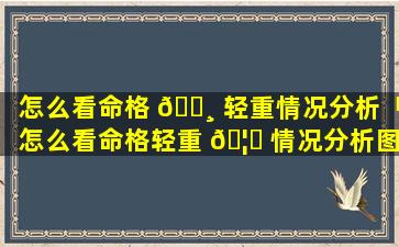怎么看命格 🕸 轻重情况分析「怎么看命格轻重 🦟 情况分析图片」